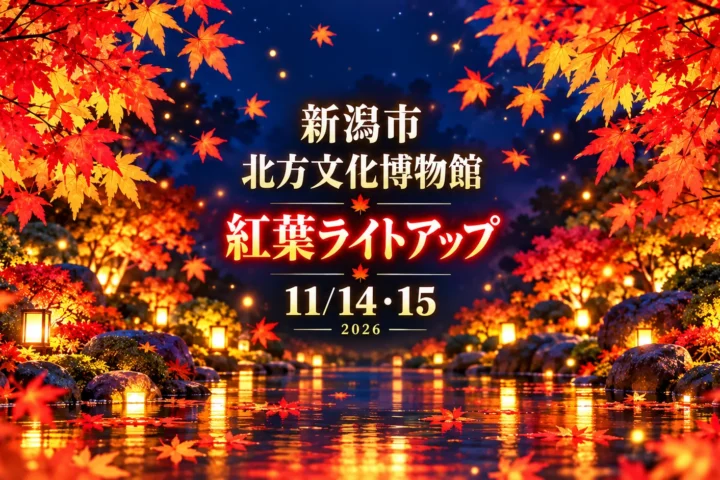 北方文化博物館の紅葉ライトアップ、11月14日・15日限定｜大広間から眺める秋の庭｜編集部制作のイメージイラスト